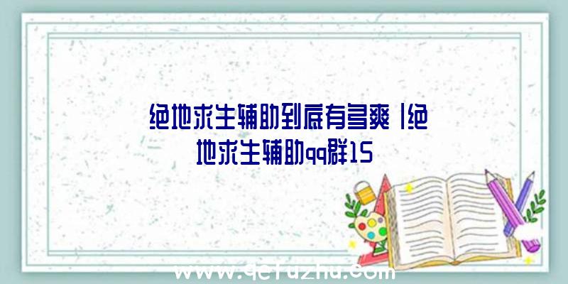 「绝地求生辅助到底有多爽」|绝地求生辅助qq群15